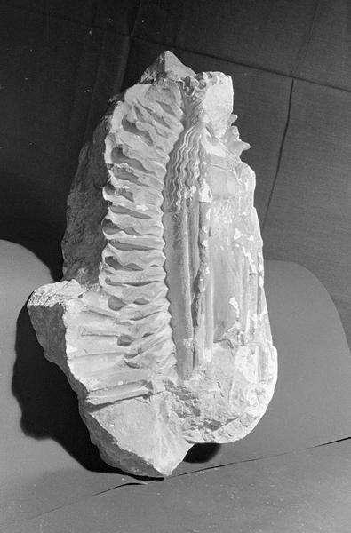 Statue en pierre de Saint-Maximin, fragment : Vierge couronnée dans une mandorle flamboyante, de trois quarts droit