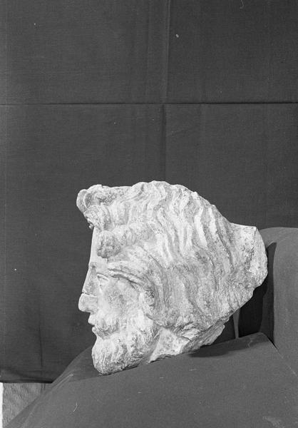 Statue en pierre de Courville, fragment : tête d'homme barbu, profil gauche