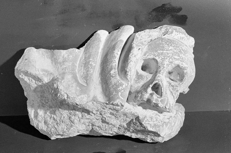 Haut-relief en pierre de Courville, fragment : tête de mort, de face