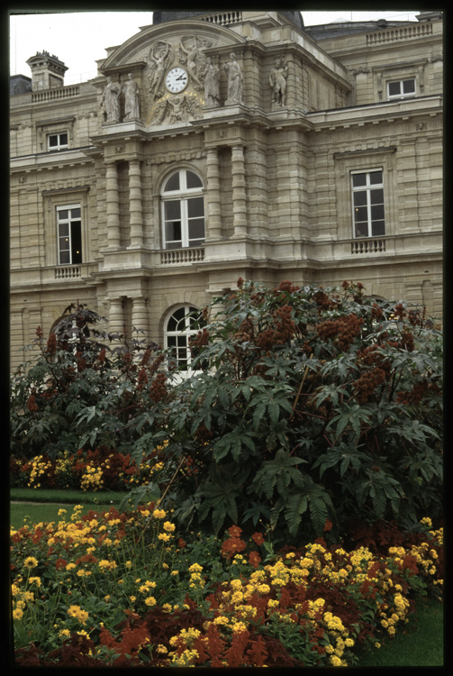 Pavillon central côté jardin, façade sud : parterre fleuri