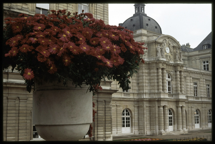 Façade sud et pots fleuris, côté ouest