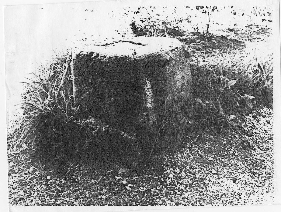 Élément de calcaire