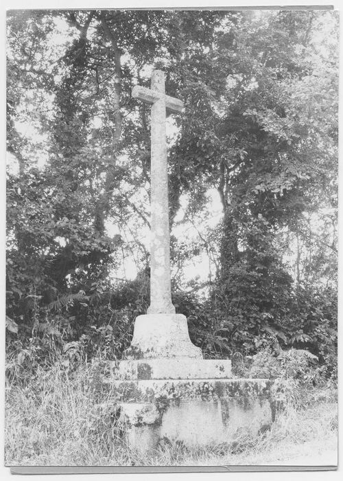 croix de chemin dite croix de La Haye