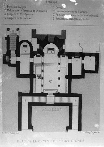 Gravure. Crypte : Plan d'ensemble