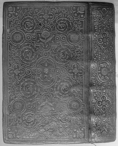 Reliure de manuscrit (livre d'heures ayant appartenu à la famille Nycot de Bourges) : Plat et dos