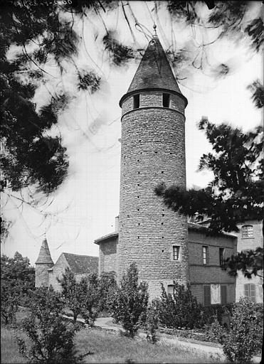 Donjon : Vue prise du jardin à l'ouest