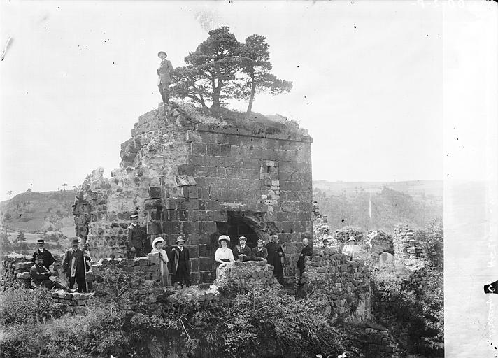 Vue d'ensemble, prise des ruines du château