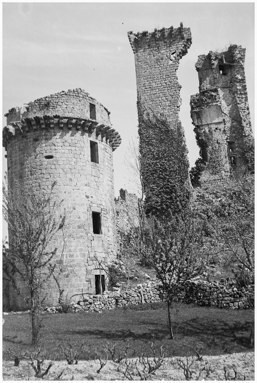 Tour et donjon