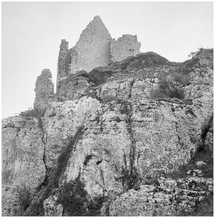 Vue d’ensemble