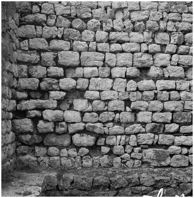 Détail de l’appareil