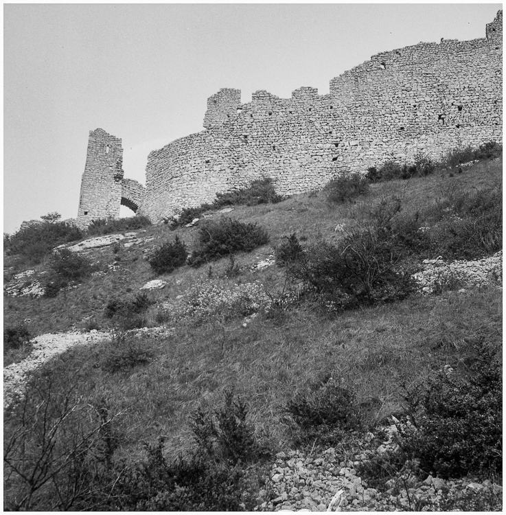 Vue d’ensemble