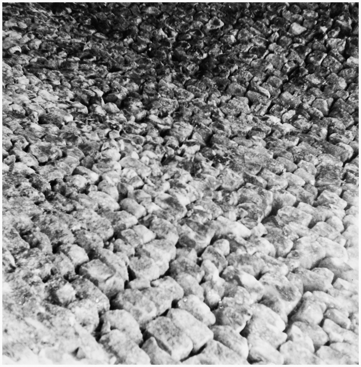 Détail de l’appareil