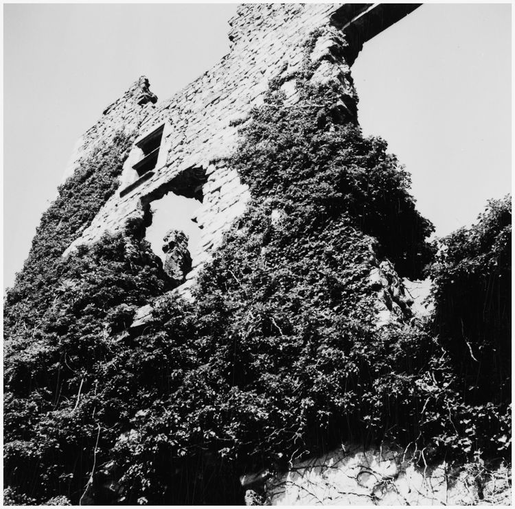 Élévation