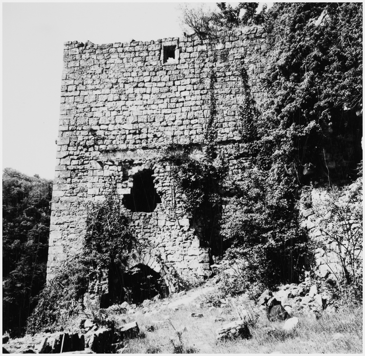 Élévation
