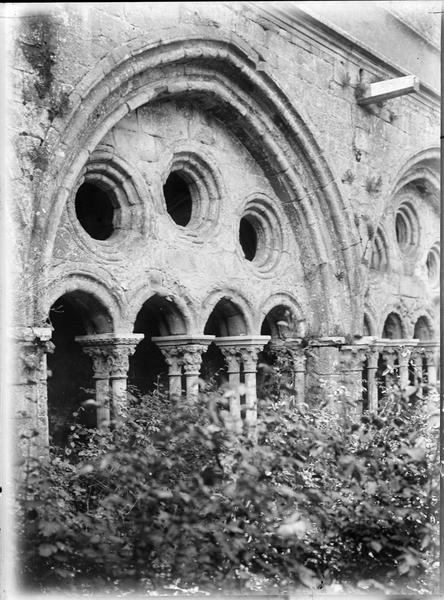 Cloître : galerie, arcade, depuis le jardin