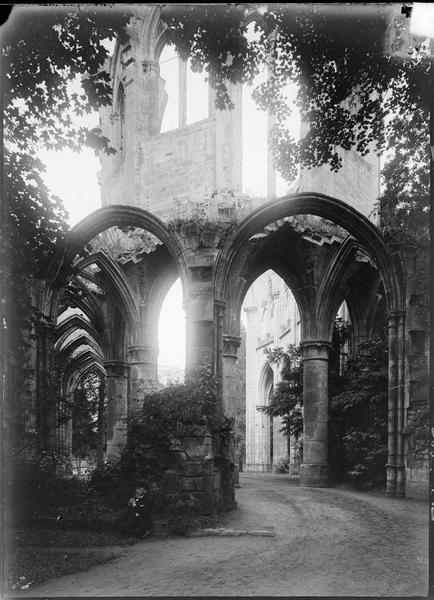 Eglise abbatiale, abside en ruines avec végétation