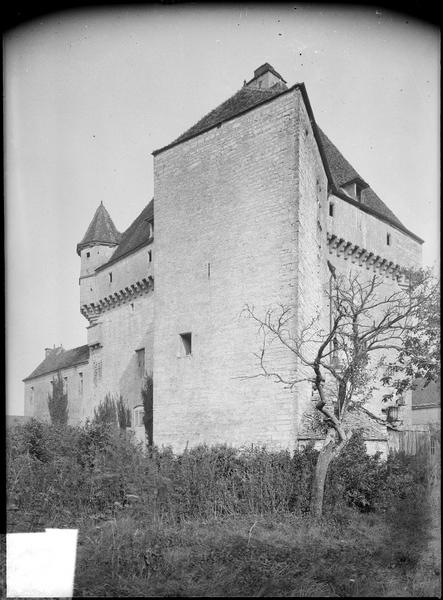 Tour quadrangulaire de flanquement et donjon