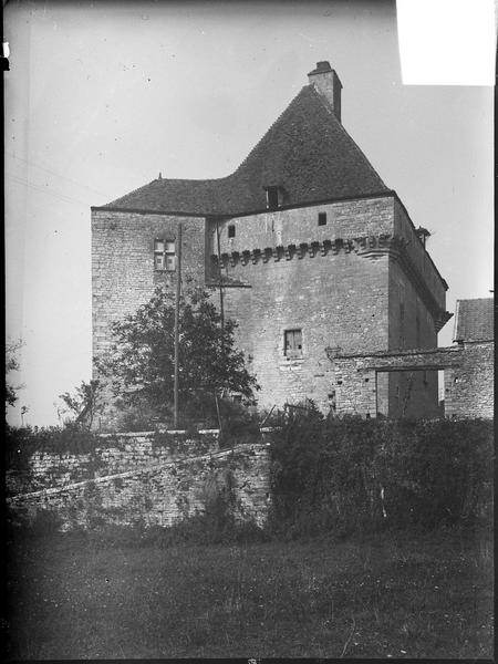 Tour quadrangulaire de flanquement et donjon