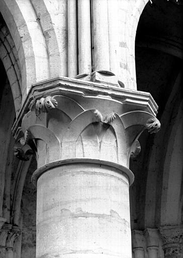 Première colonne de l'hémicycle côté nord : chapiteau