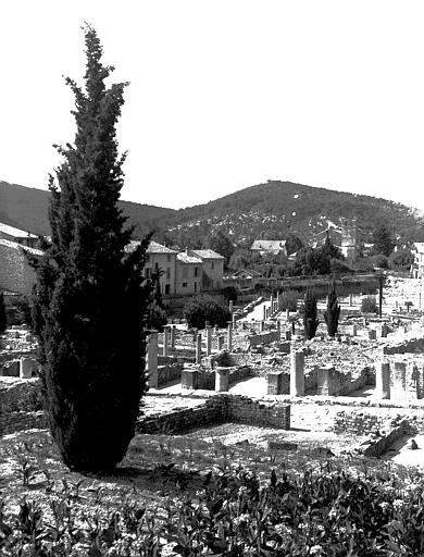 Vue d'ensemble vers la cathédrale