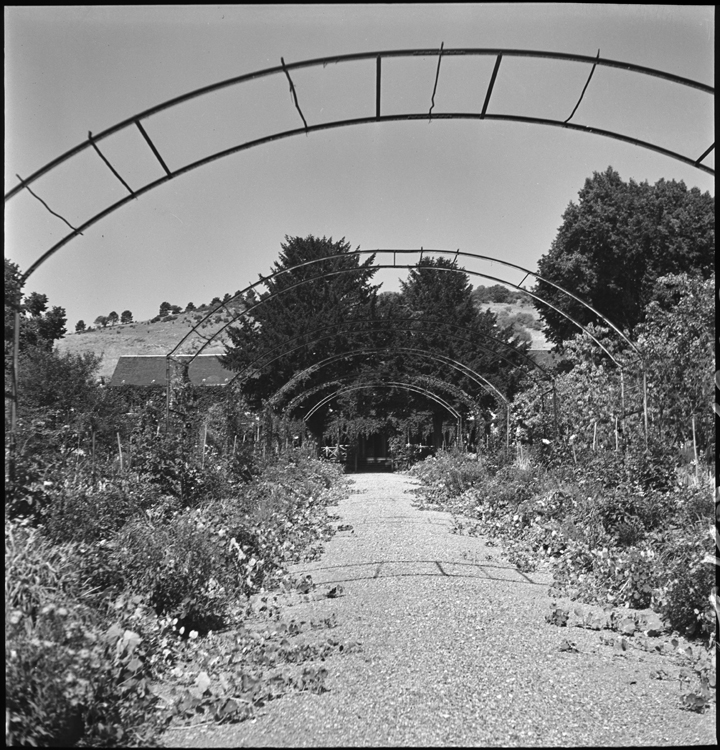 Jardin : allée fleurie