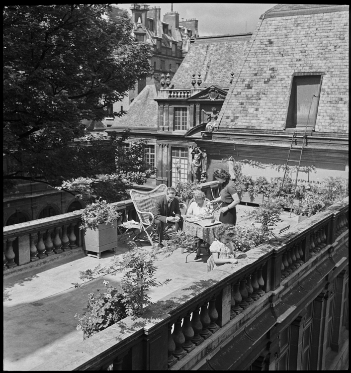 Vue plongeante sur le jardinet du toit-terrasse