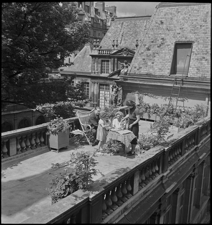 Vue plongeante sur le jardinet du toit-terrasse