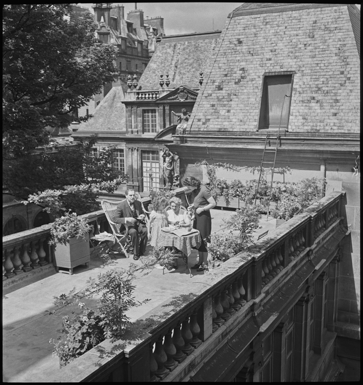 Vue plongeante sur le jardinet du toit-terrasse