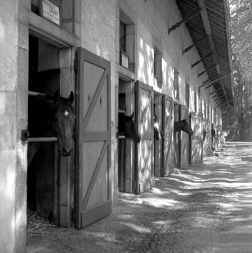 Ecuries : portes extérieures ouvertes, chevaux