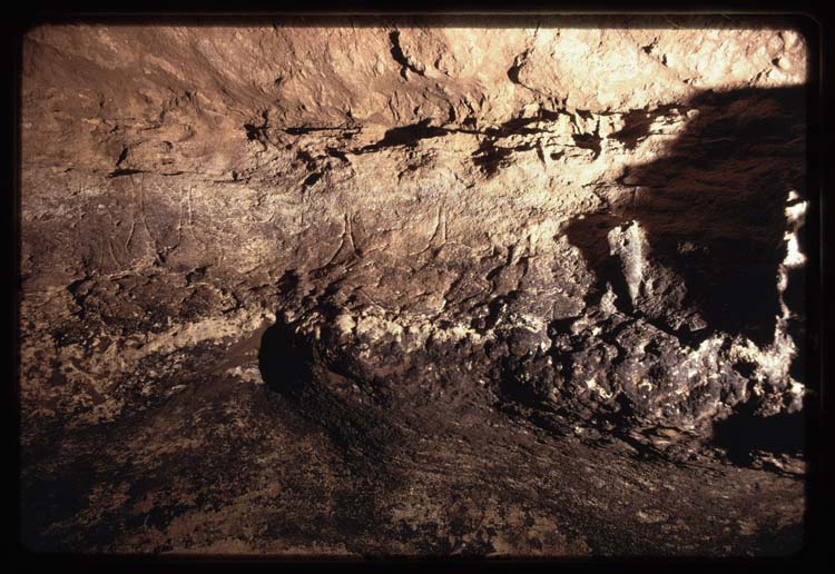 Bison gravé sur une paroi de la grotte