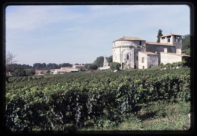 Vue générale ; Vignes