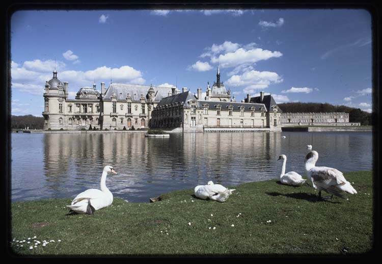 Ensemble ouest ; Cygnes