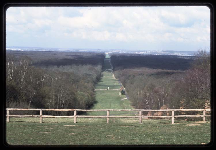 Avenue des Beaux-Monts en direction du palais