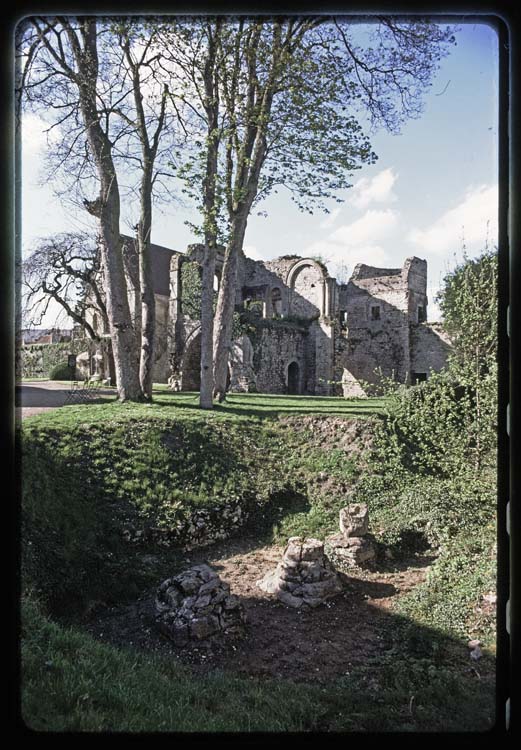 Vue d'ensemble des ruines