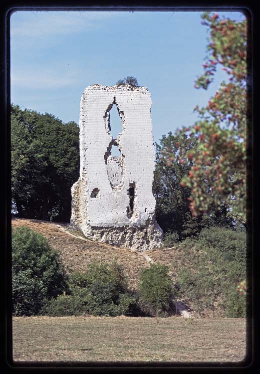 Vestiges d'une tour