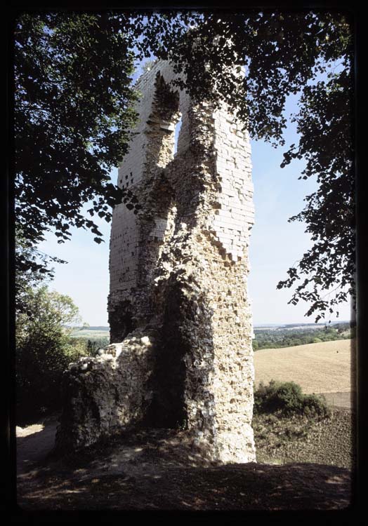 Vestiges d'une tour