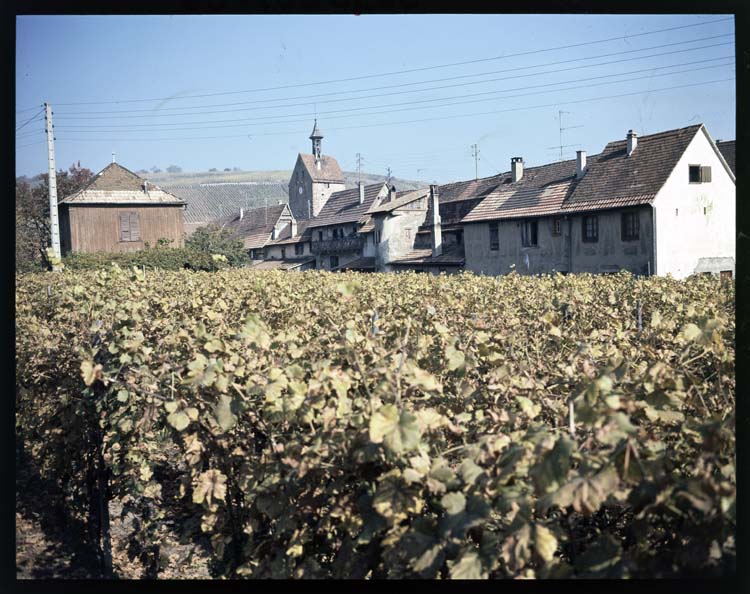 Vue générale du Dodler et de la ville ; Vignes