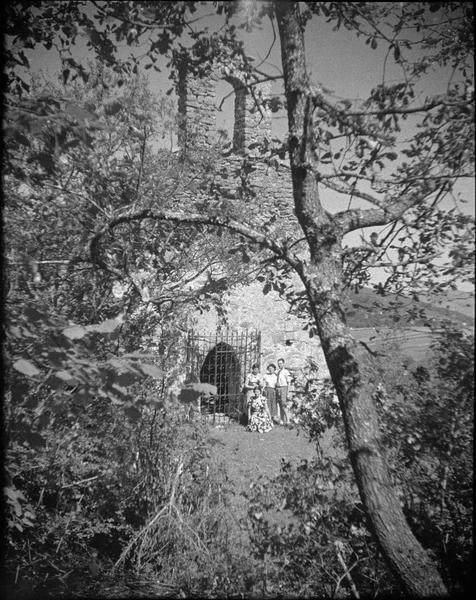 Façade ouest vue à travers les arbres, vue animée