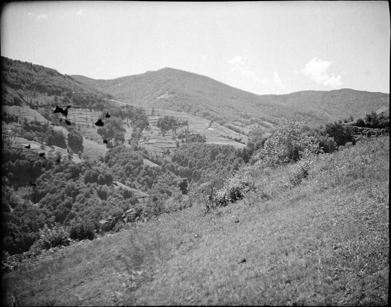 Vallée de La Barguillère