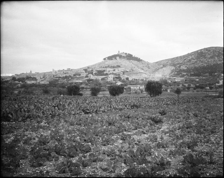 Ensemble sud depuis l'avenue de Provence