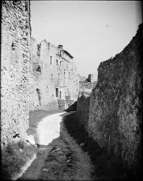 Chemin de ronde et mur d'enceinte