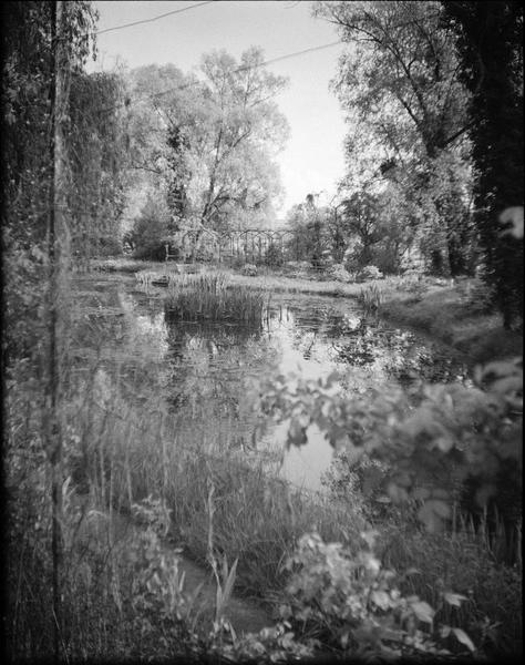 Jardin d'eau : bassin des nymphéas