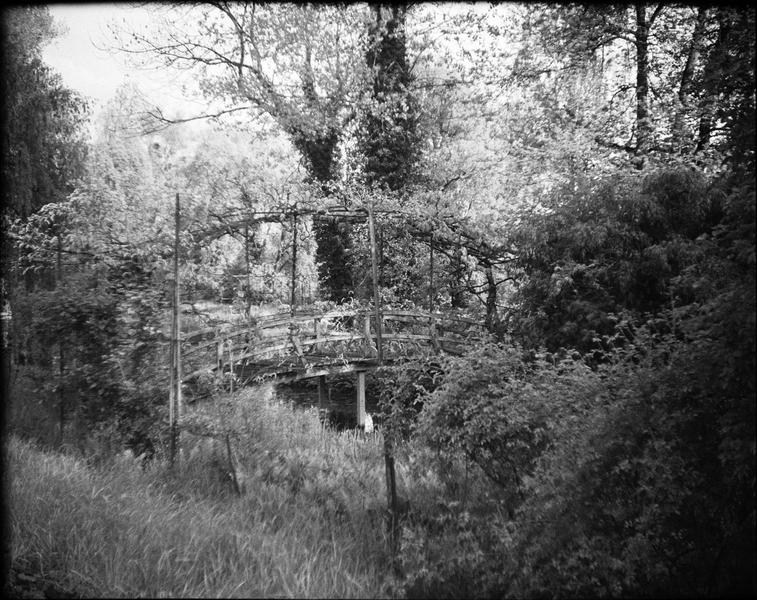 Jardin d'eau : pont japonais sur le bassin des nymphéas