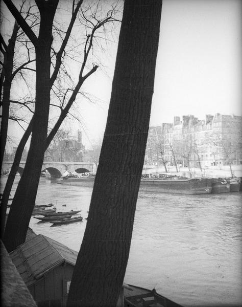 Pont sur la Seine avec péniches et barques, vus à travers les arbres du quai d'Anjou côté est