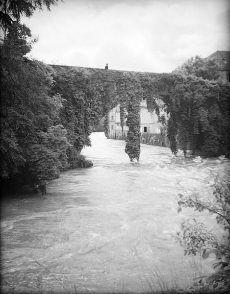 Pont de lierre sur le gave de Pau