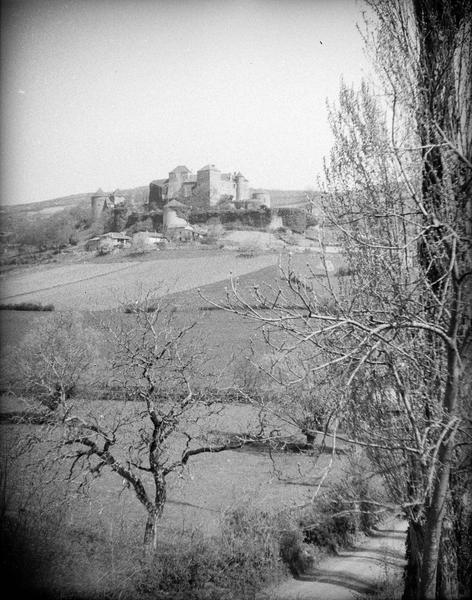 Ensemble ouest à travers les arbres