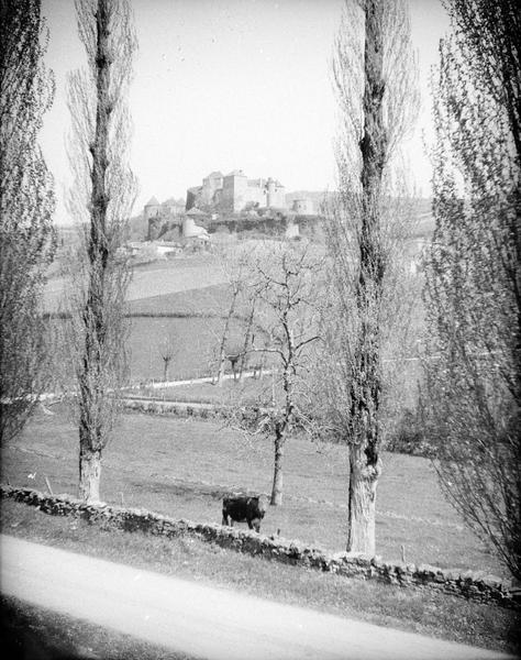 Ensemble sud à travers les arbres