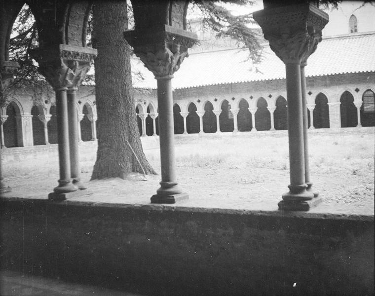 Cloître, intérieur : jardin intérieur depuis la galerie