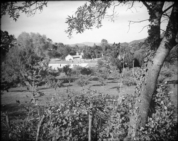 Chapelle côté sud-ouest, vue de loin à travers la végétation