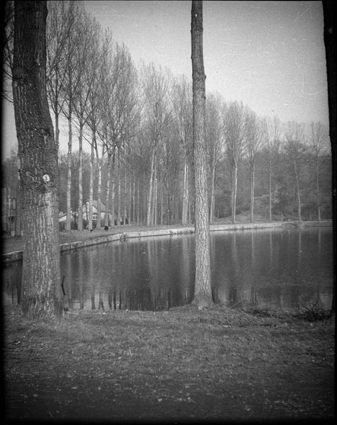 Etang de l'Ursine